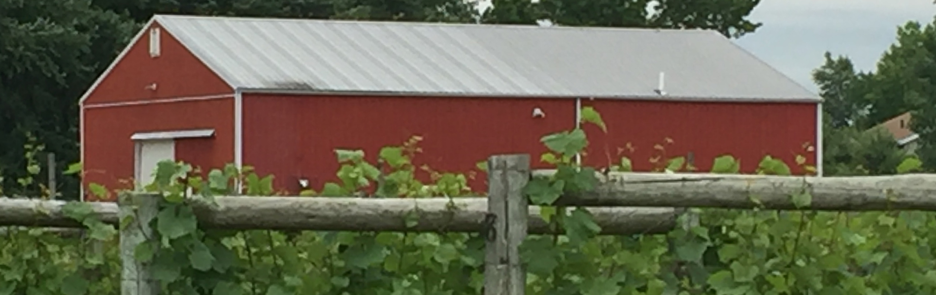 barn-with-vines-banner Monroeville Barn With Grape Vines